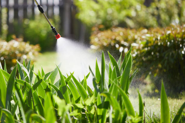 Tamper-Resistant Bait Stations for Rodents in Brewster